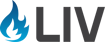 LIV - Primary Logo (Steel + Gradient)